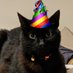 Oliver & Billy - RIP Squeak 🌈 🐾🐾 (@oliverdapanfur) Twitter profile photo Oliver & Billy - RIP Squeak 🌈 🐾🐾 (@oliverdapanfur) Twitter profile photo