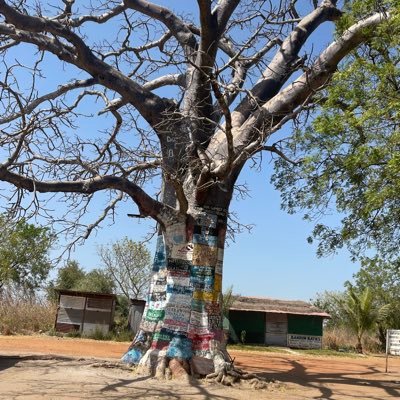 Jallow3530951's profile picture. 🗣️GOD'S DIVINE PRESENCE❤️✊🙏