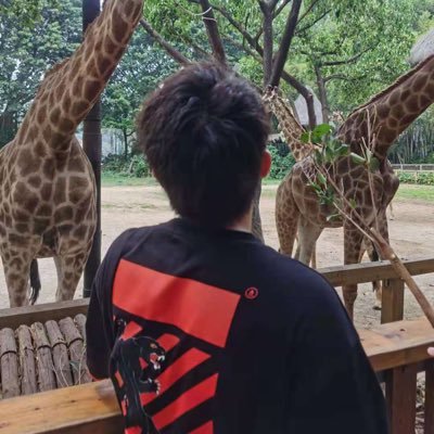 LiaoWinsen's profile picture. 