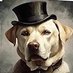 BarkinBoss 🇺🇸 (@barkinbossjames) Twitter profile photo BarkinBoss 🇺🇸 (@barkinbossjames) Twitter profile photo
