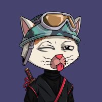 Caleb (@calebinvests) 's Twitter Profile