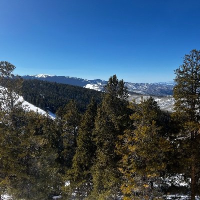 TXTradition's profile picture. 