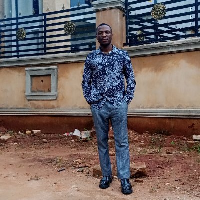 chukwudi_ibe's profile picture. Son || Brother || Investor - Capital Market ||  Incurable Liverpool fan ll Talks about investing