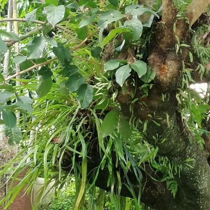 purwanto19heri's profile picture. 