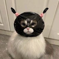 2568 แล้วแต่กะยังเหน่ย 555 (@oilvanisa) 's Twitter Profile Photo 2568 แล้วแต่กะยังเหน่ย 555 (@oilvanisa) 's Twitter Profile Photo