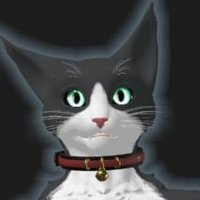 Duskcat (@thecatfacs) 's Twitter Profile