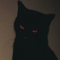 kyotzy (@_kyotofps) 's Twitter Profile Photo kyotzy (@_kyotofps) 's Twitter Profile Photo