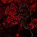 真珠 (@postapocalypse0) Twitter profile photo 真珠 (@postapocalypse0) Twitter profile photo