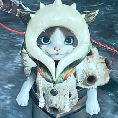 shiuさんのプロフィール画像