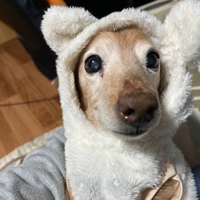 玉兎さんのプロフィール画像