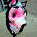 pink riddim dog (@hushsucks) Twitter profile photo