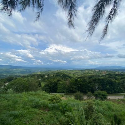 LukeLop79119491's profile picture. 🇦🇪