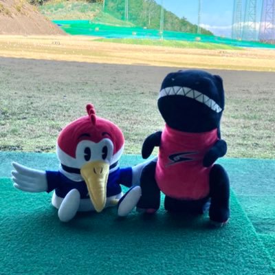 長崎が主戦場。チーピンとシャンクが同居する男。 目標はHDCP15(ベスト16.1)⬜️83(24.9)🟦89(25.7) 無言フォローすみません。⛳️🀄️🚤