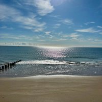 Mrs B (@bricky2023) 's Twitter Profile