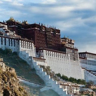 yobishibou's profile picture. 🌾・臥薪嘗胆・予備