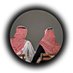 عامر بن حمد (@hmdamr99871) Twitter profile photo عامر بن حمد (@hmdamr99871) Twitter profile photo