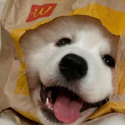 ElLIHoard's profile picture. NFT curator building dApps