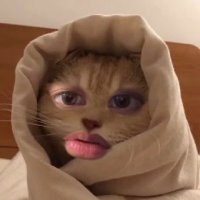 갈비¹⁹⁹⁹🍐 (@on_9982) 's Twitter Profile Photo