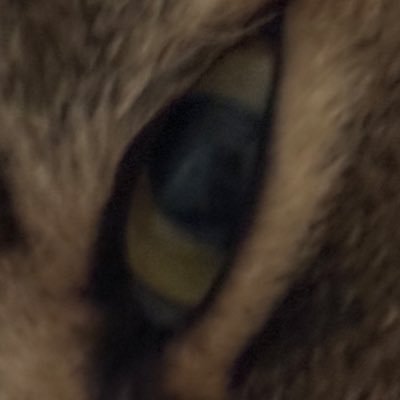 Дюфис С: ⚡️hardware engineer⚡️how Gubnit hides Zmoney 1for Bsecret programs 🪖8388❤️110🇺🇸🇷🇺🇩🇪🇿🇦☦️✝️😻🐸MAGA MEGA Big Z Gott Mit Uns
