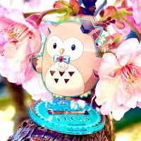 ねぎカツ (@negikatsu_dc) Twitter profile photo