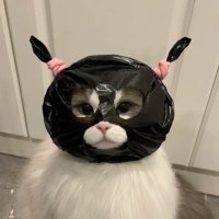 หม่ามี๊เปงแมวดำ 🐈⬛ (@rubyj1xx6) 's Twitter Profile