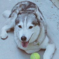 TruthMatters (@truthm20618) 's Twitter Profile