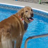 YippieKya (@yippiekya) Twitter profile photo