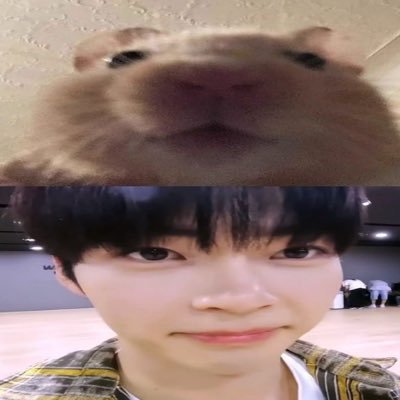 bininiest's profile picture. hanbinhanbinhanbinhanbinhanbinbinbinbinibinibininin