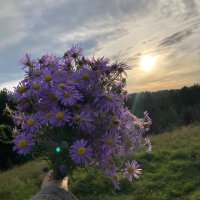 أبو محمــــد (@rooh_albanafsag) 's Twitter Profile