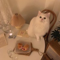 π’ π€ (@mc2__6y) 's Twitter Profile