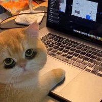 🐇֛ 𖥻 anishiii²⁵ ⋆ ࣪ ִֶָ ᵎᵎ (@studyssa) 's Twitter Profile