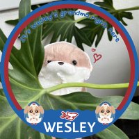 bǎobèi.ꕤ hi! westie is here (@arunothailoe) 's Twitter Profile Photo bǎobèi.ꕤ hi! westie is here (@arunothailoe) 's Twitter Profile Photo