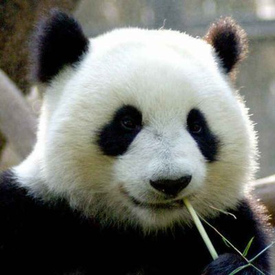 ZhouQianCN's profile picture. 