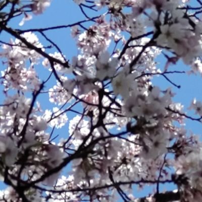 字書きです。なろう、カクヨム、ノベルアップ+などでほそぼそと書います
自分が漫画で読みたい話を文字で書いてます
漫画原作者志望です