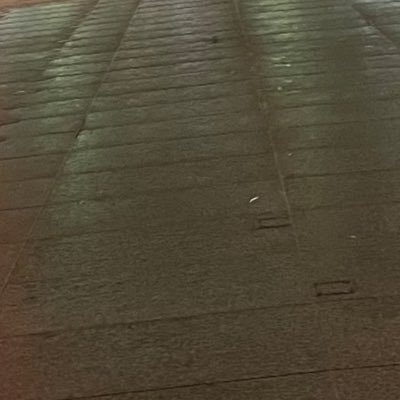 Auq4MSIV8Y76056's profile picture. 学習院/経済/経済 #春から学習院