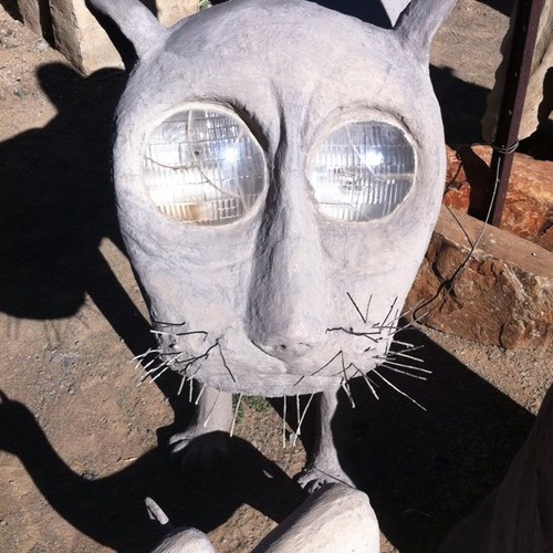 tgerntholtz's profile picture. Kidneys. Beer. Joziphile. Old Potters Brewhouse