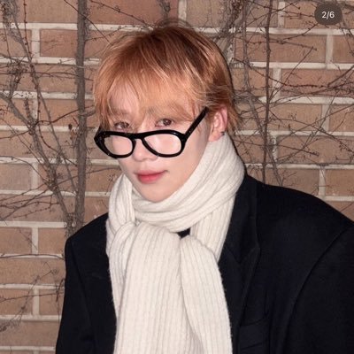 chanhpee's profile picture. THE BOYZ’s pengu.