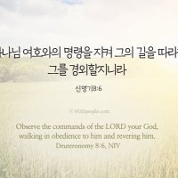 자유날개 (@knight608) 's Twitter Profile