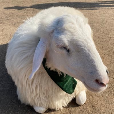 oaboabeeii's profile picture. 