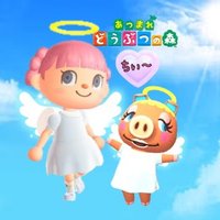 ちぃ〜@あつ森 (@chiiiii_acnh) 's Twitter Profile