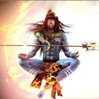 @ShibPhenom🇮🇳 🙏 (@shibphenom) 's Twitter Profile Photo