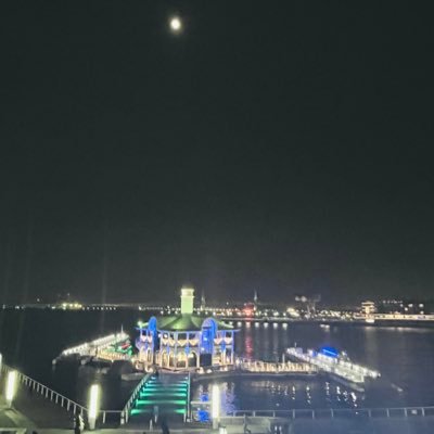雑多🎧┇Mrs. GREEN APPLE┇TOMOO┇髭男┇BREIMEN┇Kroi┇ずとまよ┇離婚伝説┇muque┇ネクライetc …┇DTMとギターも💻🎸