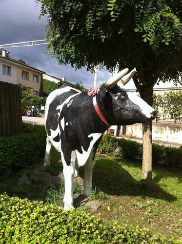 Altitante's profile picture. 🟧