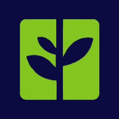 @mintwebservices