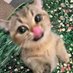 fawi (@freakyfawi) Twitter profile photo fawi (@freakyfawi) Twitter profile photo