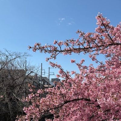 サーモンマヨさんのプロフィール画像