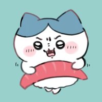 しいさん@ハチワレと走る (@homehomeshiee3) Twitter profile photo