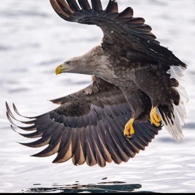 thHf6EcWtM45485's profile picture. 