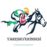 Yarisseverinsesi (@nodoubt1907) 's Twitter Profile