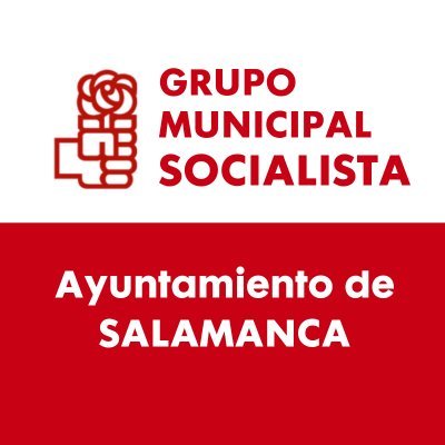 PSOE Ayuntamiento Salamanca Profile